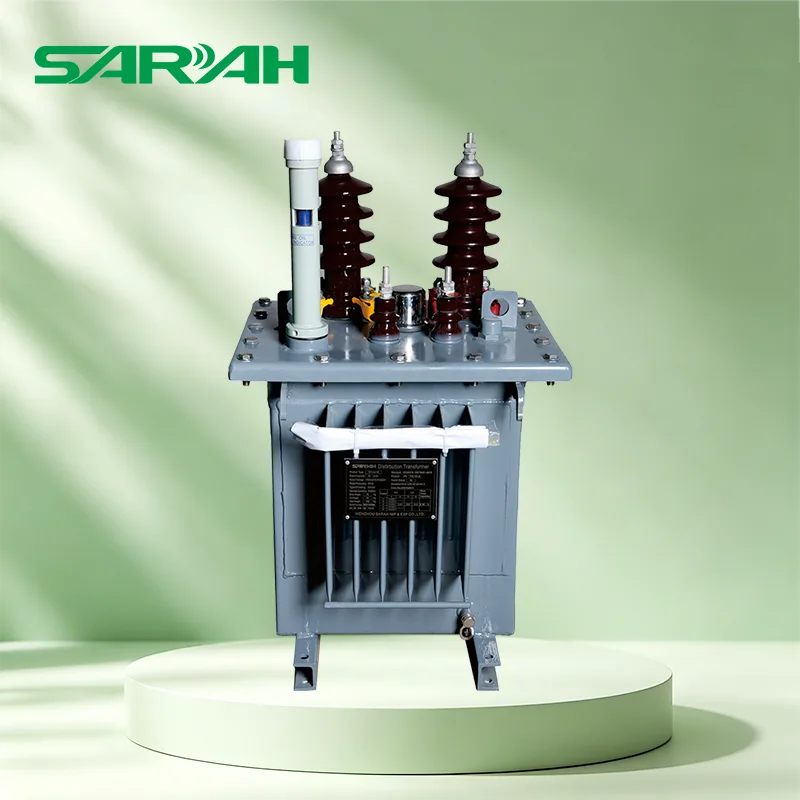 24KV Oil immersed Distribution Transformer