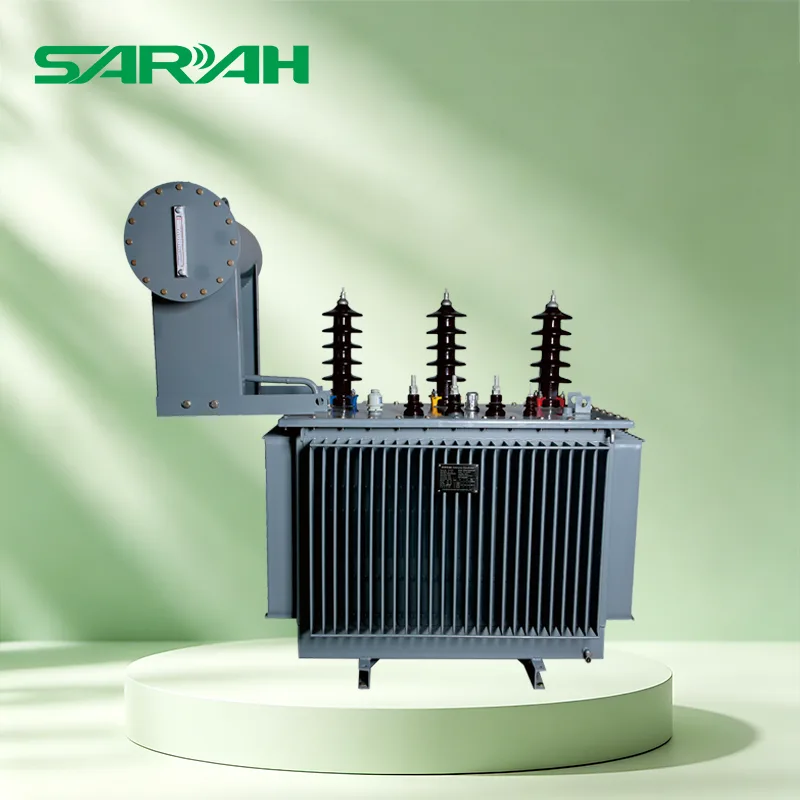 24KV Oil immersed Distribution Transformer